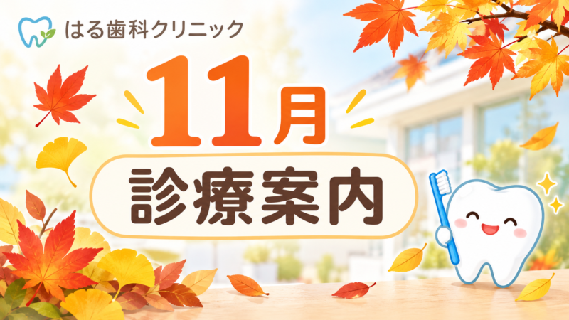 １１月診療案内